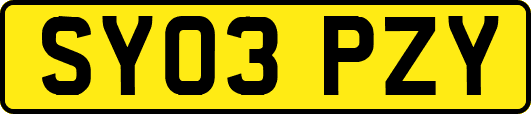 SY03PZY