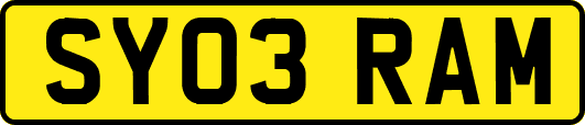 SY03RAM