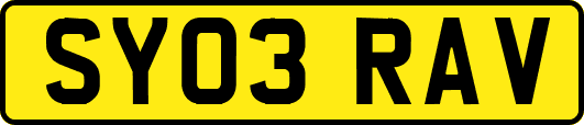 SY03RAV
