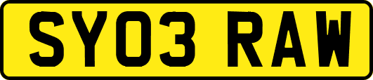 SY03RAW