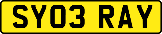 SY03RAY