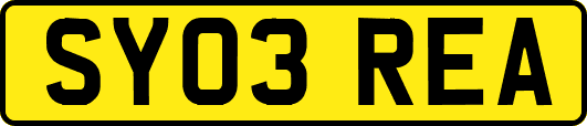SY03REA