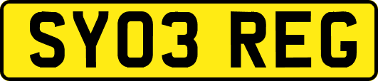 SY03REG