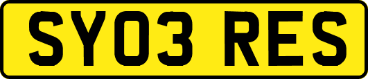SY03RES