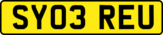 SY03REU