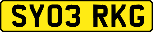 SY03RKG
