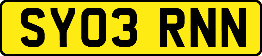 SY03RNN