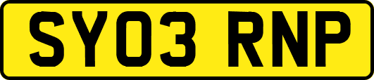 SY03RNP