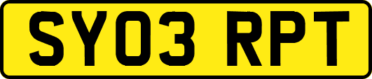 SY03RPT