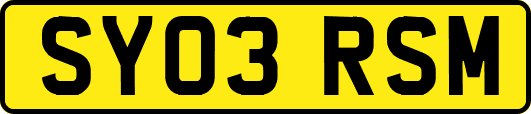 SY03RSM