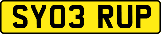 SY03RUP