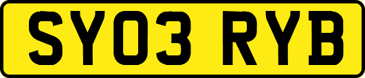 SY03RYB