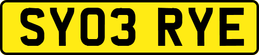 SY03RYE