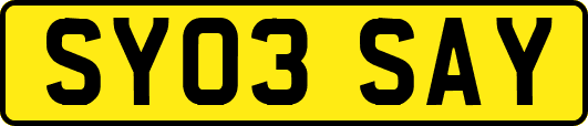 SY03SAY
