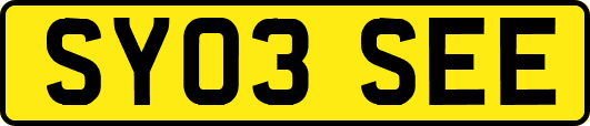 SY03SEE