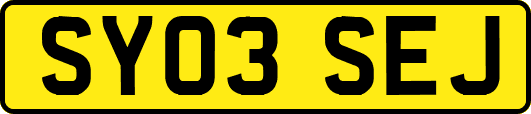 SY03SEJ