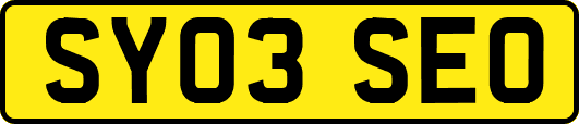 SY03SEO