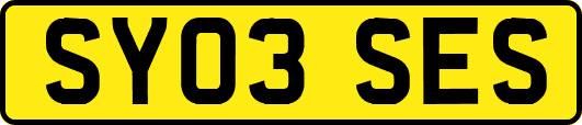 SY03SES