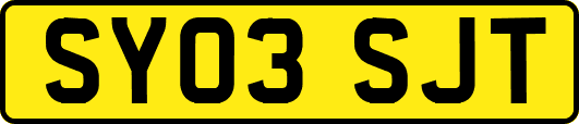 SY03SJT