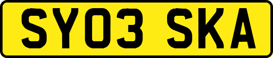SY03SKA