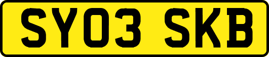 SY03SKB