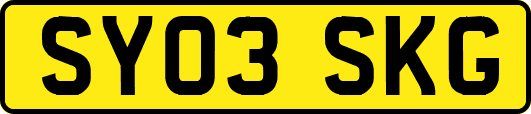 SY03SKG