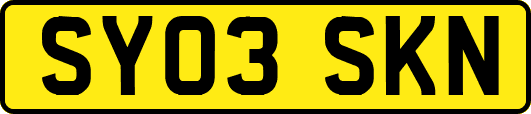 SY03SKN
