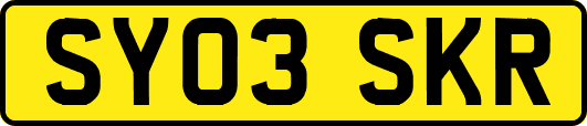 SY03SKR