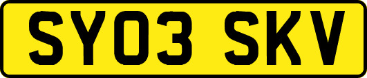 SY03SKV