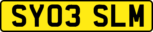 SY03SLM