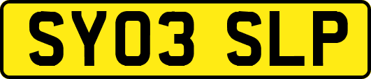 SY03SLP
