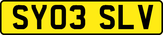 SY03SLV