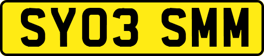 SY03SMM