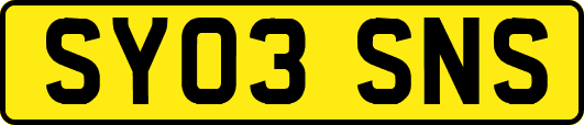 SY03SNS