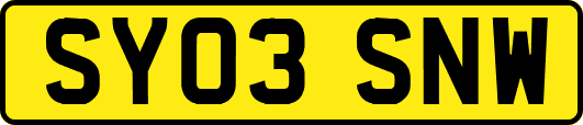 SY03SNW