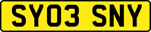 SY03SNY