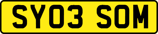 SY03SOM