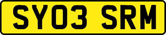 SY03SRM