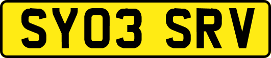 SY03SRV