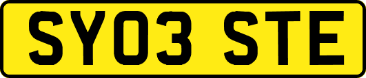 SY03STE