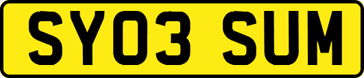 SY03SUM