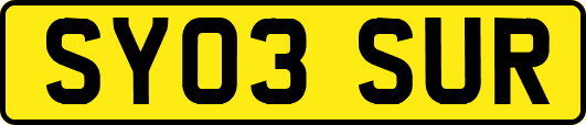 SY03SUR