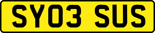 SY03SUS
