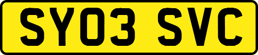 SY03SVC