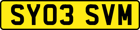 SY03SVM