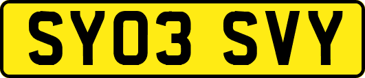 SY03SVY