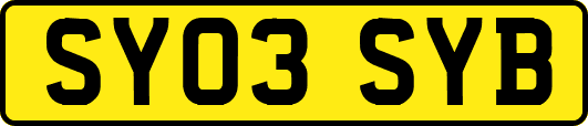 SY03SYB
