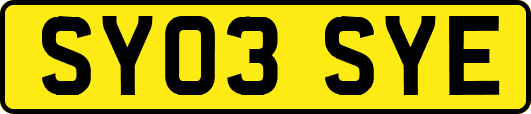 SY03SYE