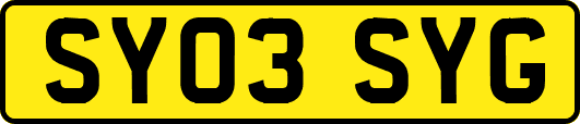 SY03SYG