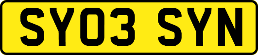 SY03SYN